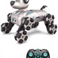 RC Stunt Robot Dog